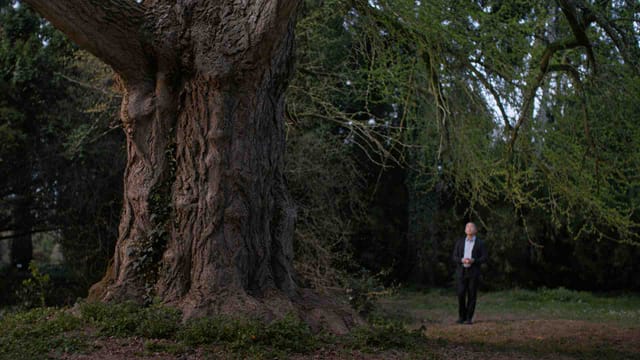 Grünes Kino - Silent Friend